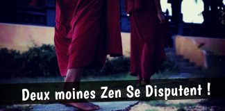 Histoire ZEN