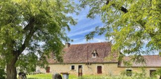 Une Oasis de 200ha pour un laboratoire du Nouveau Monde 🌈💚