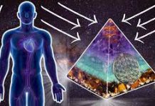 La Théorie de l’Orgone : une Découverte qui Dérange !