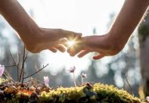 Frédéric Samnidhi : réenchanter le quotidien