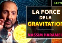 L’Univers et Vous – Partie 6 : Les 4 Forces fondamentales | Nassim Haramein