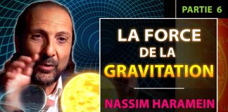 L’Univers et Vous – Partie 6 : Les 4 Forces fondamentales | Nassim Haramein