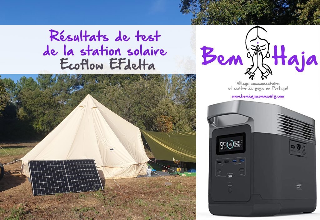 test ecoflow efdelta