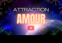 Attraction Amour