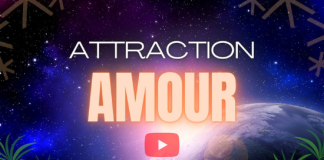 Attraction Amour