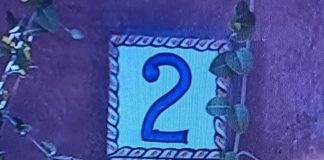 Être Solaire Multidimensionnel et Ligne de Temps Quantiques Supérieures 213