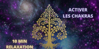 Nettoyage des 7 Chakras