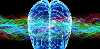 Une nouvelle étude démontre l’existence d’un état de conscience supérieur