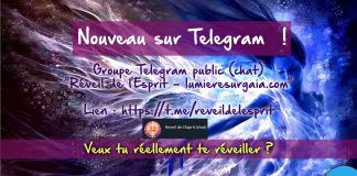Nouveau groupe public sur Telegram dédié au grand réveil de l’Esprit