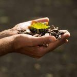 Entretien avec Philippe Eknath