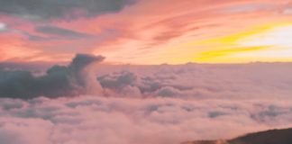 Face à la crise, sommes-nous vraiment impuissants ?