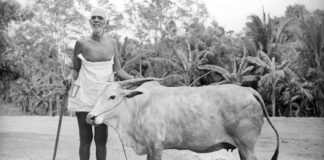 Sri Ramana Maharshi “Demeurez tranquilles” #advaita