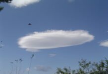 Des scientifiques japonais ont présenté plus de 450 preuves de l’existence des extraterrestres