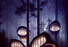 De nouveaux et magnifiques types de constructions plus écologiques