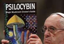 Dans une réalité parallèle… ;)