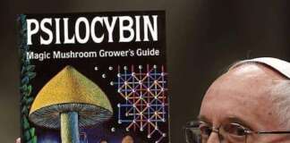 Dans une réalité parallèle… ;)