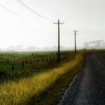 D’où vient la Joie ♥ #contemplationsonore