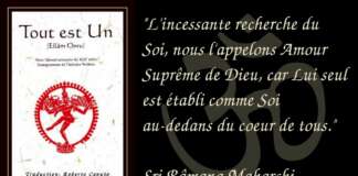 Ellam Onru – Tout est Un, Tout est Dieu (Advaita Vedanta)