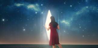 Satsang – Le choix entre les deux mondes