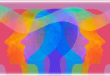 La Loi de l’attraction 1/2