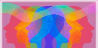 La Loi de l’attraction 1/2