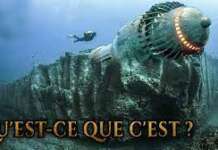 Une chose incroyable a été découverte sous l’océan