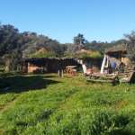 Réveillon de Noel & jour de l’an “Réveillons le Soi” (au Portugal)