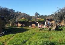 Réveillon de Noel & jour de l’an “Réveillons le Soi” (au Portugal)