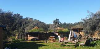 Réveillon de Noel & jour de l’an “Réveillons le Soi” (au Portugal)