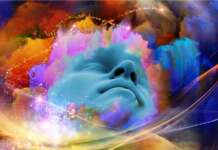 Découverte du rêveur du rêve – Atelier du 6 fév. 2024