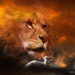 Non-culpabilité et invulnérabilité