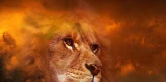 Non-culpabilité et invulnérabilité