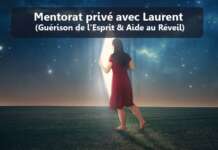 Mentorat privé avec Laurent (Guérison de l’Esprit & Aide au Réveil)
