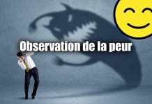 Éveil Spirituel Atelier 23 Observation Non Duelle – UCEM – Observation de la peur