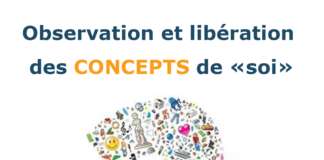 Satsang – Observation et libération des CONCEPTS de “soi”
