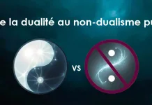De la dualité au non-dualisme pur