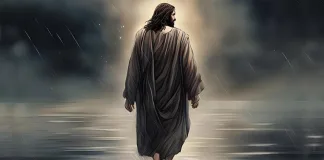 Maintenant, on rentre tous à la maison ! – Masterclass “éveil au Soi” (extrait d’atelier)