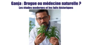 Ganja : Drogue ou médecine naturelle ?