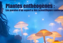 Plantes enthéogènes : Les paroles d’un expert & des scientifiques convergent !