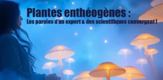 Plantes enthéogènes : Les paroles d’un expert & des scientifiques convergent !