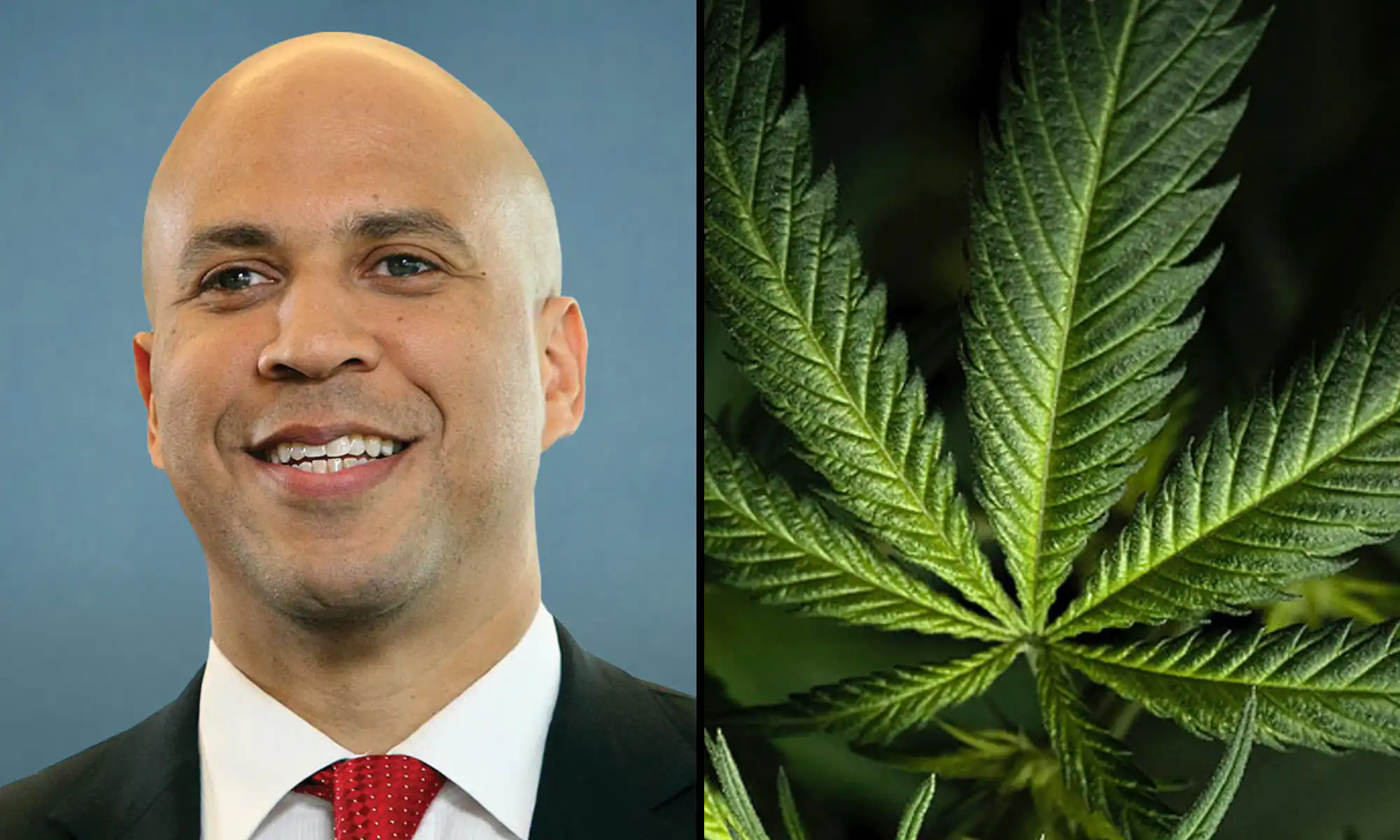 cory booker marijuana