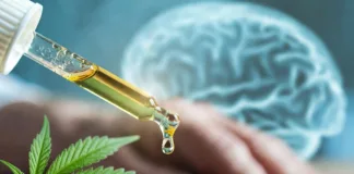 THC et CBD contre l’agitation des démences : l’huile médicale fait ses preuves